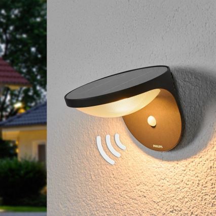 Philips 17808/93/16 - Sonnenlichtsensor MYGARDEN DUSK 1xLED/1W/3,7V