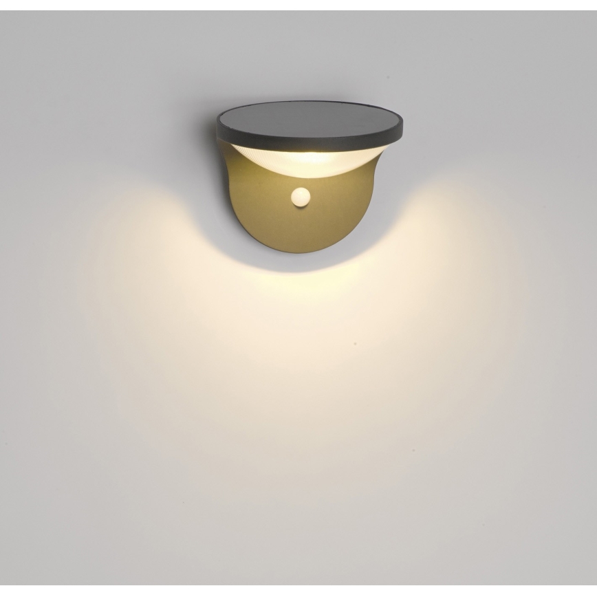 Philips 17808/93/16 - Sonnenlichtsensor MYGARDEN DUSK 1xLED/1W/3,7V