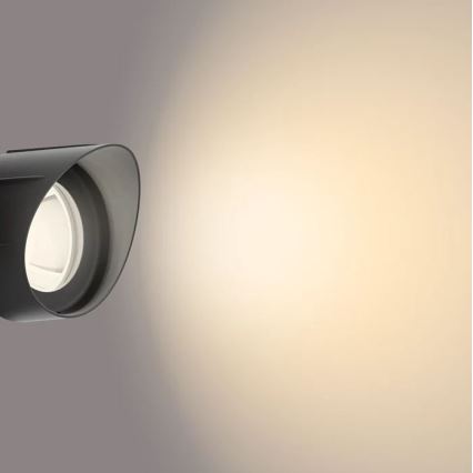 Philips - LED Außenstrahler LED/6W/12V 2700K IP44