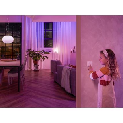 Philips Hue Wandschalter-Modul