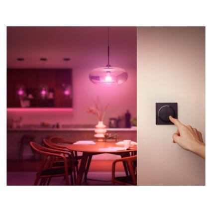 Philips - Fernbedienung mit Schalter Hue TAP 1xCR2032 schwarz