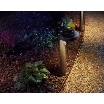 Philips - LED-Solarleuchte mit Sensor LED/1,2W/4V 1800 mAh 3000K IP44