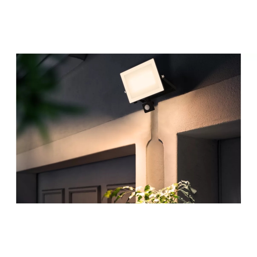 Philips - LOIS LED-Strahler mit Sensor, 50 W, 230 V, IP65, 3000 K