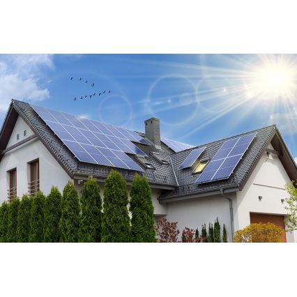 Photovoltaik-Solarpanel RISEN 450Wp IP68 - Mengenrabatt