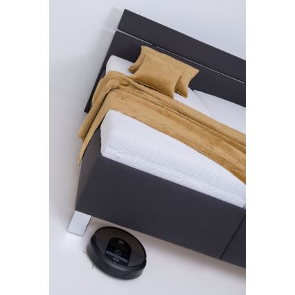 Polsterbett ALIS 160x200 cm inklusive Matratze und Bettkasten, Anthrazit