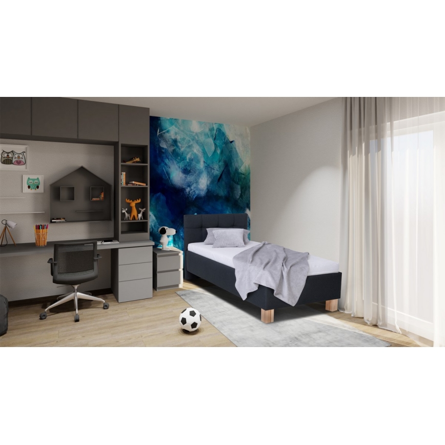 Polsterbett mit Matratze und Stauraum MARIA ONE 90x200 cm Anthrazit