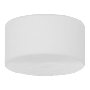 Prezent 981 - Ersatzglas für die Wandleuchte EPICCA G9