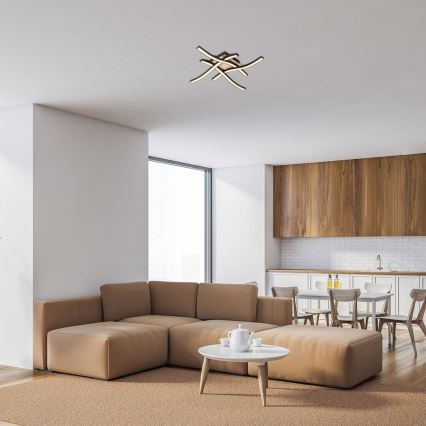 Rabalux - LED Deckenleuchte 4xLED/20W/230V