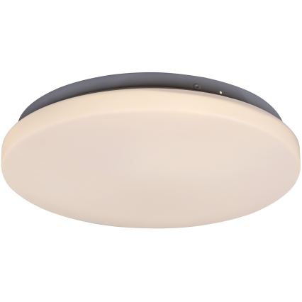Rabalux - LED-Deckenleuchte 1xLED/20W/230V d 29 cm