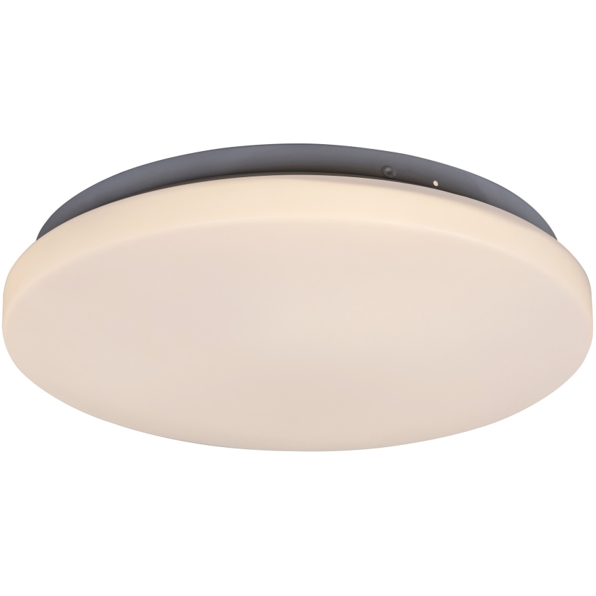 Rabalux - LED-Deckenleuchte 1xLED/20W/230V d 29 cm