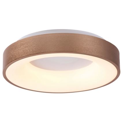 Rabalux - LED-Deckenleuchte CARMELA LED/50W/230V d 60 cm