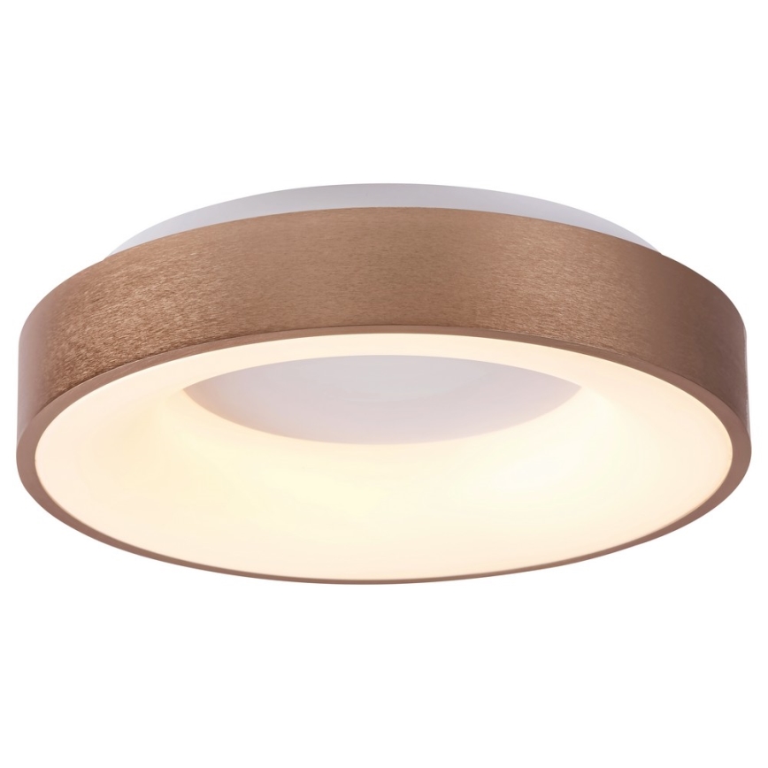 Rabalux - LED-Deckenleuchte CARMELA LED/50W/230V d 60 cm