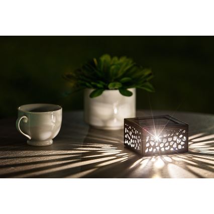 Rabalux - LED-Solarleuchte LED/0,5W/1,2V IP44 600 mAh