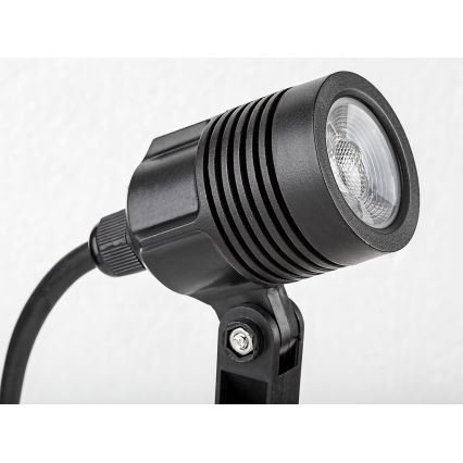 Rabalux - LED Außenleuchte LED/3W/230V IP65
