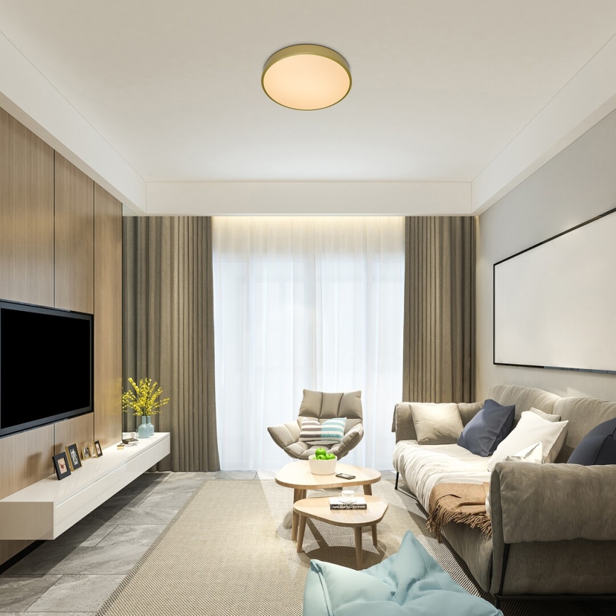 Rabalux - LED dimmbares Deckenleuchte LED/60W/230V 3000-6000K + Fernbedienung