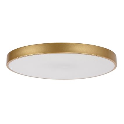 Rabalux - LED dimmbares Deckenleuchte LED/60W/230V 3000-6000K + Fernbedienung