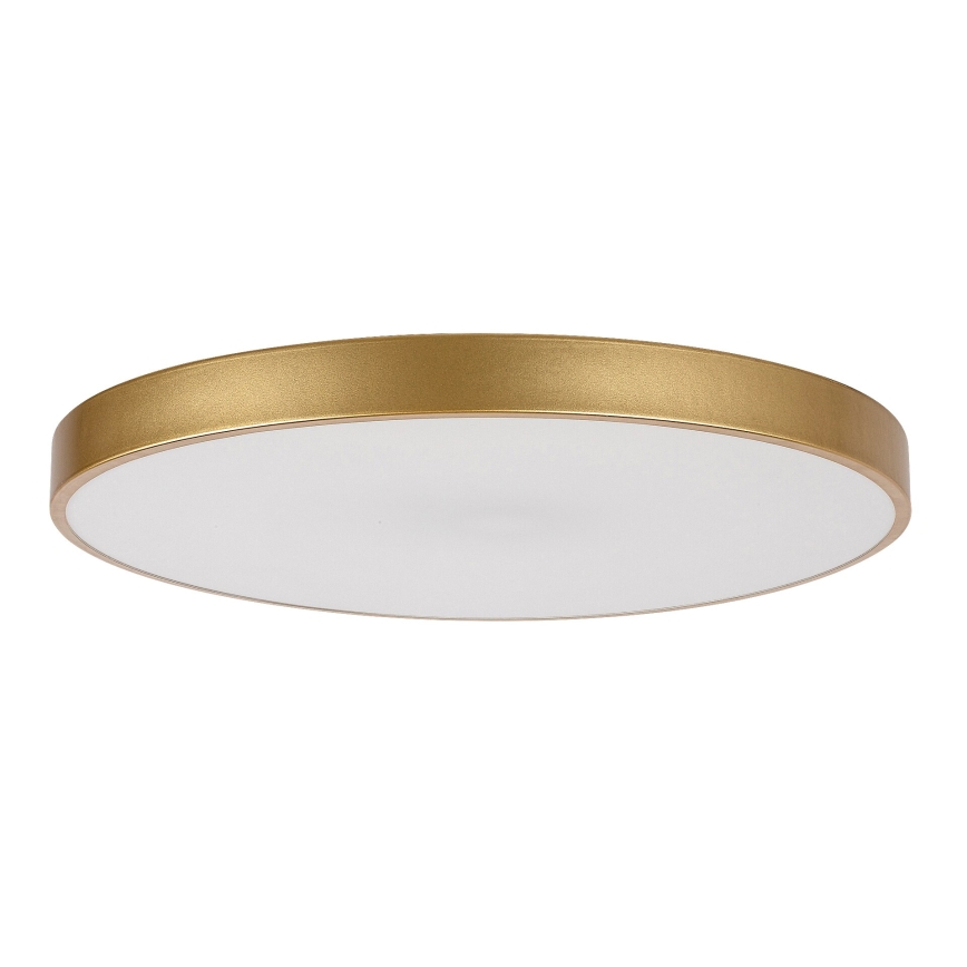 Rabalux - LED dimmbares Deckenleuchte LED/60W/230V 3000-6000K + Fernbedienung