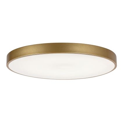 Rabalux - LED dimmbares Deckenleuchte LED/60W/230V 3000-6000K + Fernbedienung