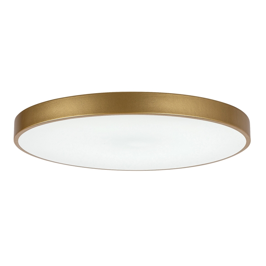 Rabalux - LED dimmbares Deckenleuchte LED/60W/230V 3000-6000K + Fernbedienung