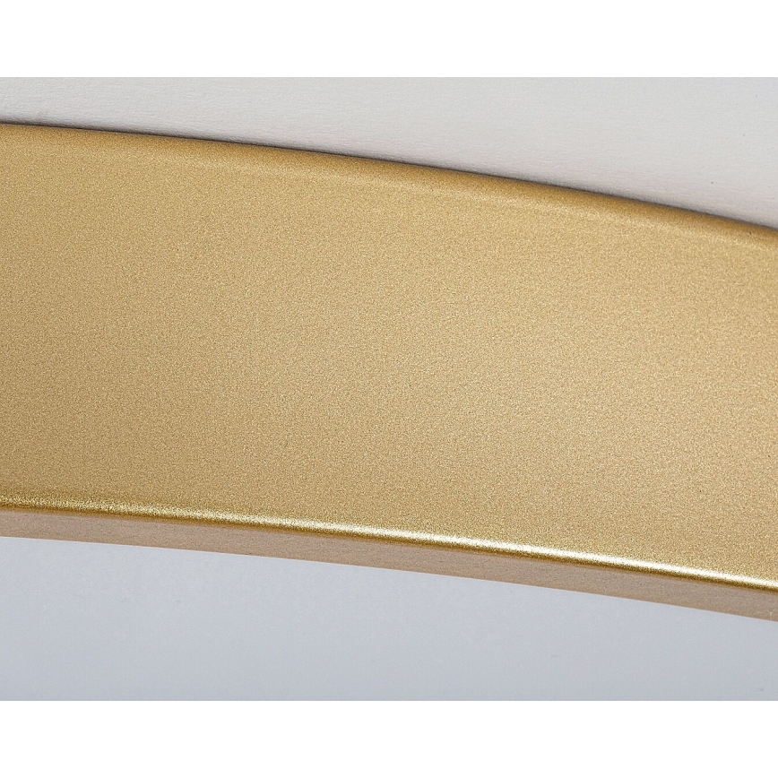 Rabalux - LED dimmbares Deckenleuchte LED/60W/230V 3000-6000K + Fernbedienung