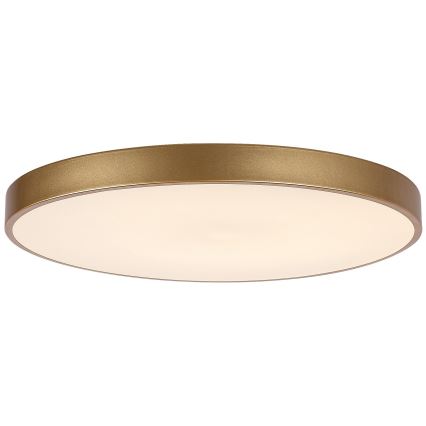 Rabalux - LED dimmbares Deckenleuchte LED/60W/230V 3000-6000K + Fernbedienung
