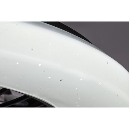 Rabalux - LED dimmbares Deckenleuchte mit Ventilator LED/48W/230V 3000-6500K + Fernbedienung
