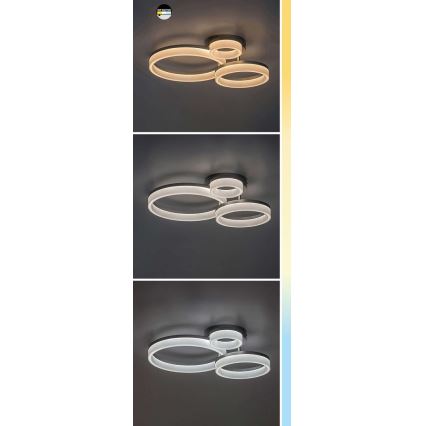 Rabalux - LED-Deckenleuchte LED/24W/230V 3000/4000/6500K schwarz 38x51 cm