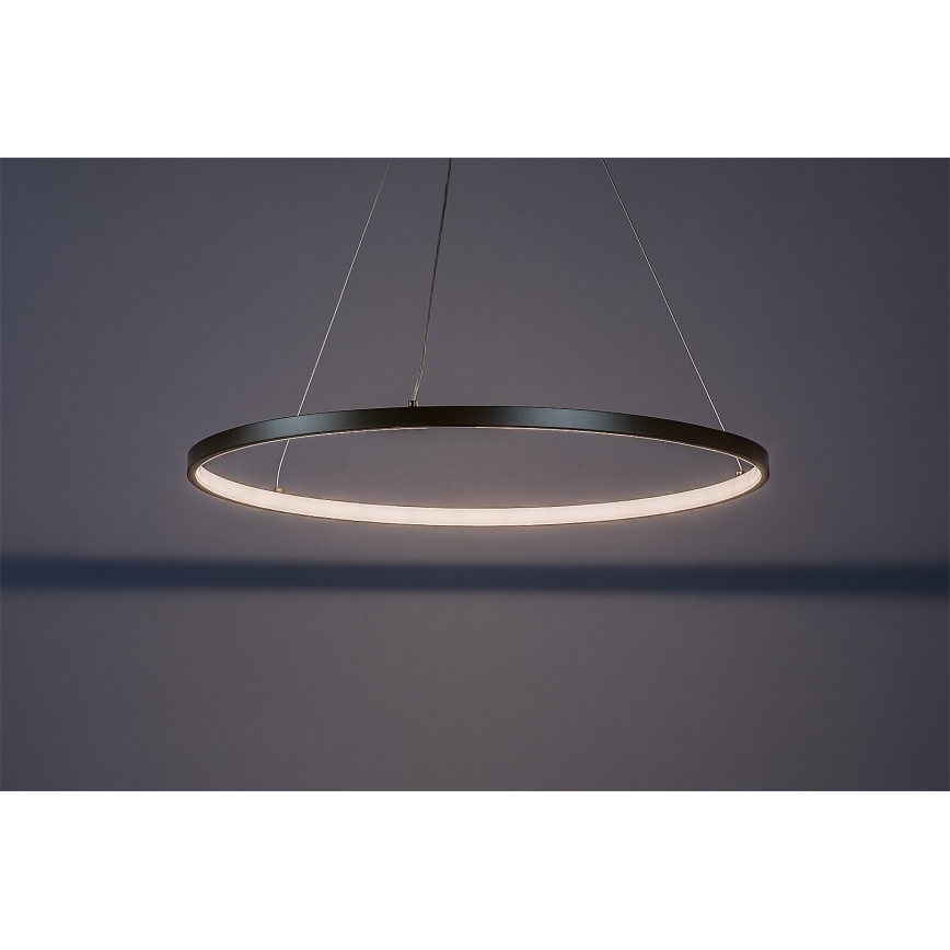Rabalux - LED-Pendelleuchte am Kabel LED/55W/230V 3000K