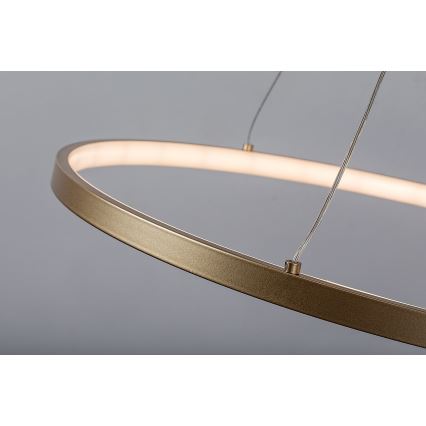 Rabalux - LED-Pendelleuchte am Kabel LED/55W/230V 3000K