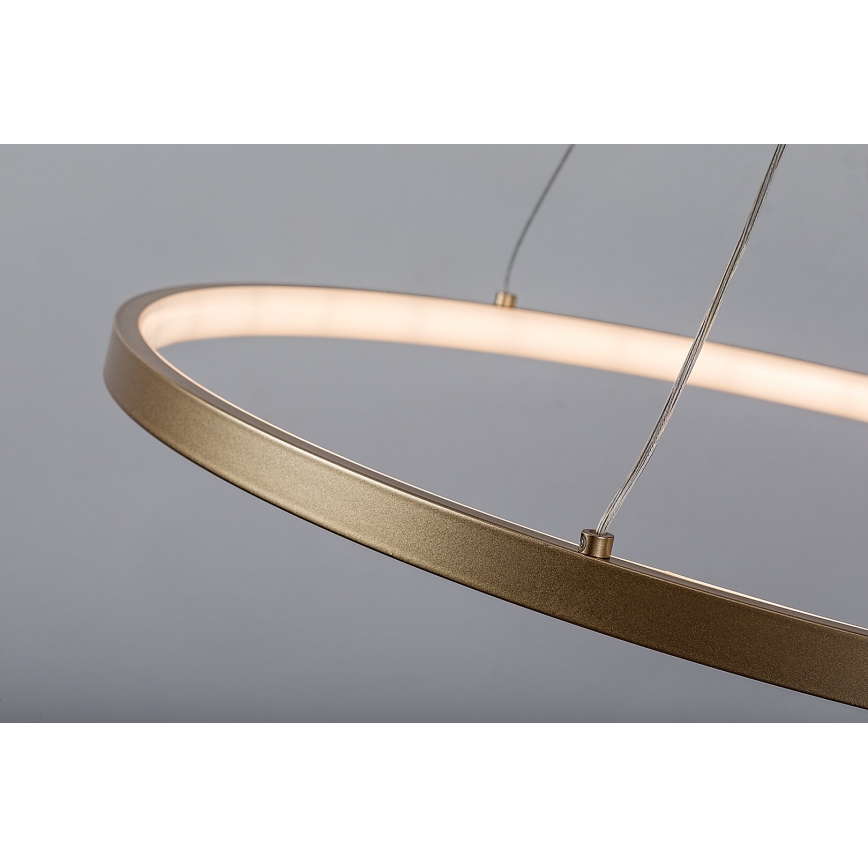 Rabalux - LED-Pendelleuchte am Kabel LED/55W/230V 3000K