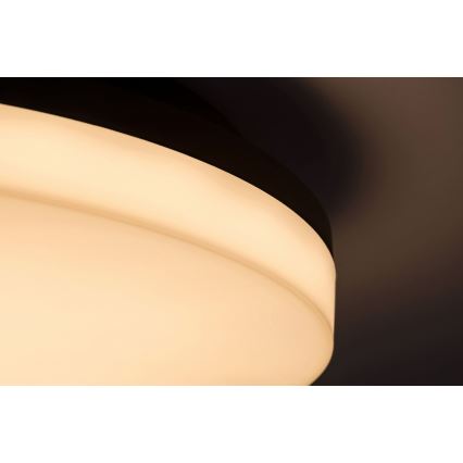 Rabalux - LED Badezimmer-Deckenleuchte LED/24W/230V IP54 Ø 28 cm