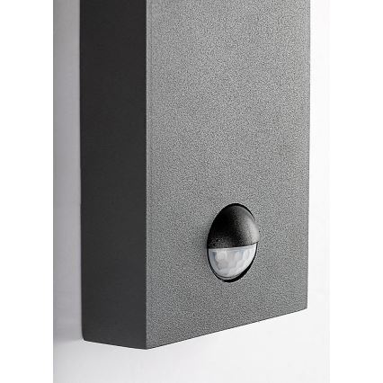 Rabalux - Outdoor-Wandleuchte mit Bewegungssensor 1xE27/40W/230V IP44