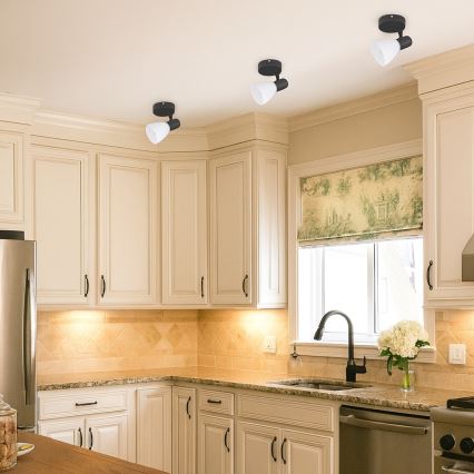 Rabalux - Spotleuchte 1xE14/40W/230V