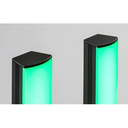 Rabalux - SET 2x dimmbare LED RGB Tischlampe PACO LED/5W/5V + Fernbedienung