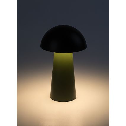 Rabalux - LED-Außenlampe, dimmbar, mit Touch-Steuerung, wiederaufladbar, LED/1,5W/5V IP44 1200 mAh USB, grün