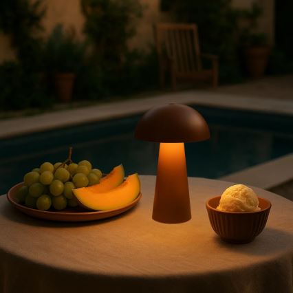 Rabalux - LED-Außenlampe, dimmbar, mit Touch-Bedienung, wiederaufladbar LED/1,5W/5V IP44 1200 mAh USB braun