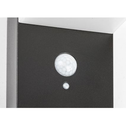 Rabalux - LED-Solarleuchte mit Sensor LED/6W/3,7V IP44 2200 mAh