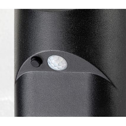 Rabalux - LED-Solarleuchte mit Sensor LED/3,6W/3,7V IP44