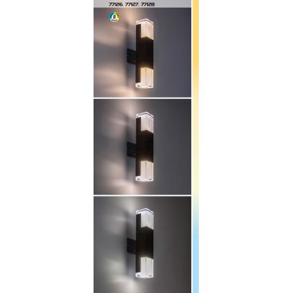 Rabalux - LED Außenwandleuchte LED/12W/230V 2700/4000/6000K IP54