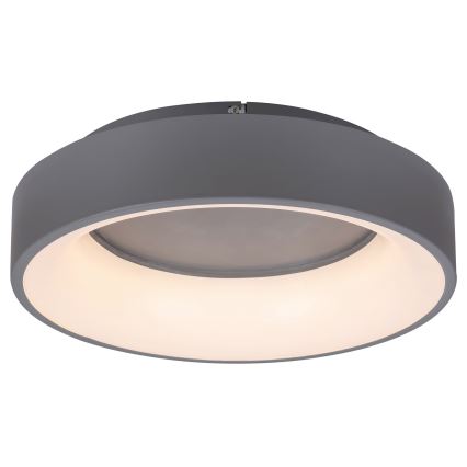 Rabalux - Dimmbare LED-Deckenleuchte LED/24W/230V rund 3000-6000K d 45 cm + Fernbedienung