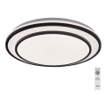 Rabalux - Dimmbare LED-Deckenleuchte LED/40W/230V 3000-6500K schwarz Ø 49 cm + Fernbedienung