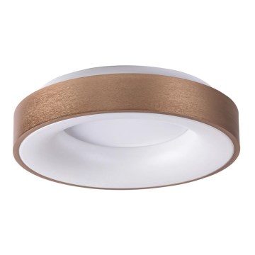 Rabalux - LED-Deckenleuchte CARMELA LED/50W/230V d 60 cm