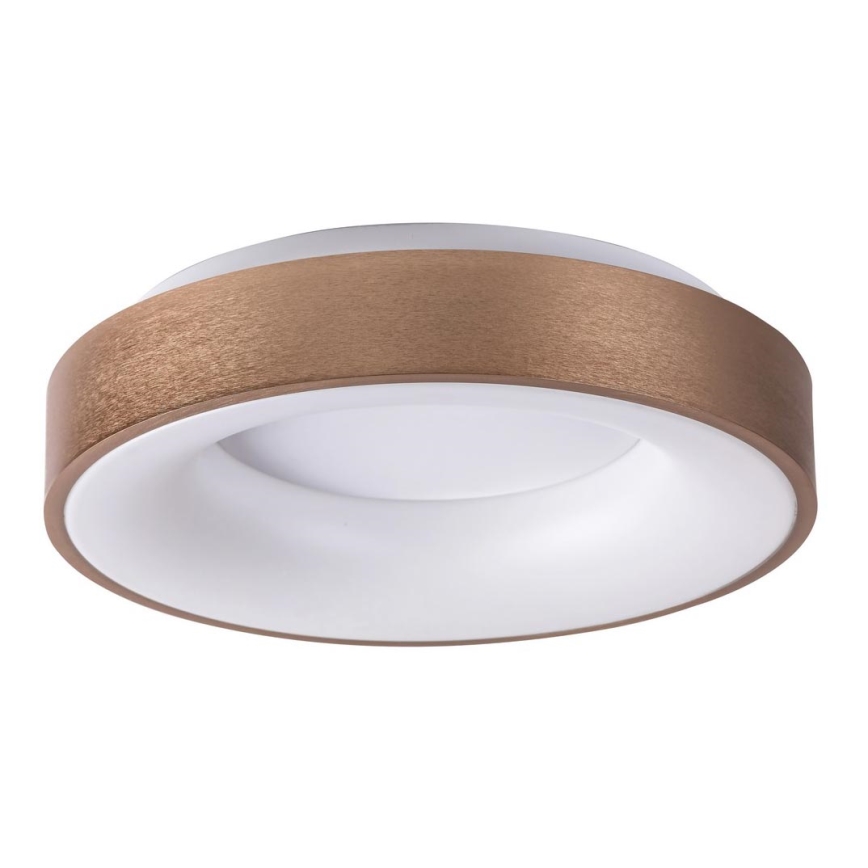 Rabalux - LED-Deckenleuchte CARMELA LED/50W/230V d 60 cm