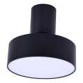 Rabalux - LED-Deckenleuchte LED/16W/230V 3000K schwarz