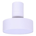 Rabalux - LED-Deckenleuchte LED/16W/230V 3000K weiß