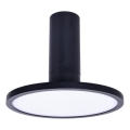 Rabalux - LED-Deckenleuchte LED/20W/230V 3000K schwarz