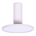 Rabalux - LED-Deckenleuchte LED/20W/230V 3000K weiß