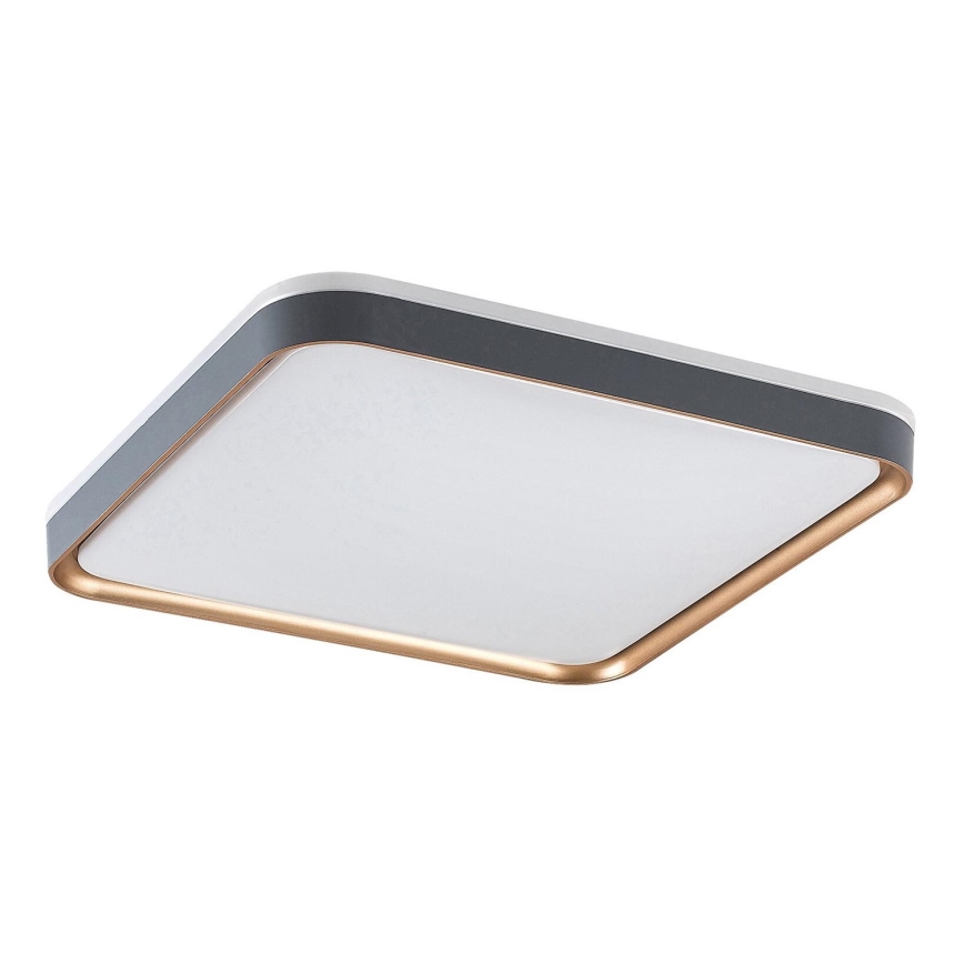 Rabalux - LED Deckenleuchte LED/26W/230V 3000K 39,5x39,5 cm