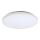 Rabalux - LED-Deckenleuchte LED/32W/230V