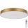 Rabalux - LED dimmbares Deckenleuchte LED/60W/230V 3000-6000K + Fernbedienung